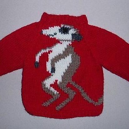 Meerkat Jumper