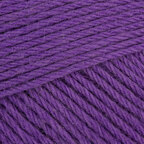 Pansy Purple (1247)