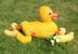 Rubber Duck (Ducky) Family Toy Animals