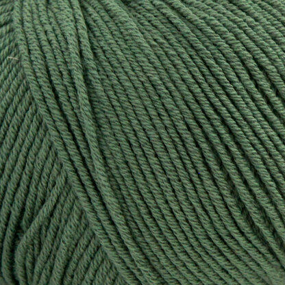 Sage Green (141)