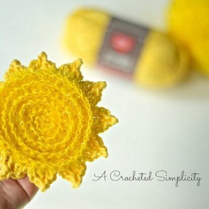 The Sun's Out! Dish Scrubby