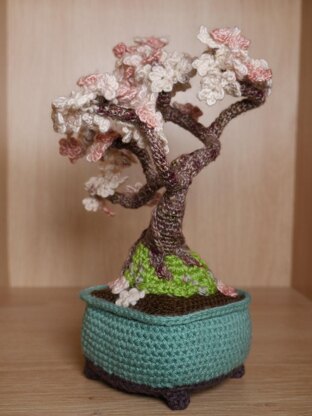 Cherry Blossom Bonsai