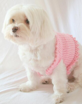 P01 Fancy Dog Sweater