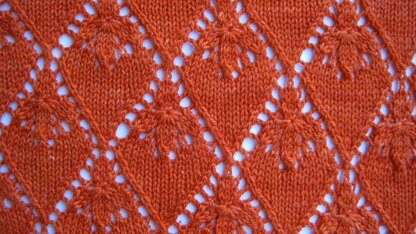 Mandarin Lace Shawl