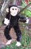 My Pet Baby Chimpanzee