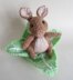 Rabbit in the Lettuce Chocolate Orange Cover Easter