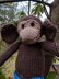 Monkey