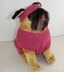 Dog Moss Stitch Coat and Headband