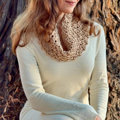 Ginger Cinnamon Cowl