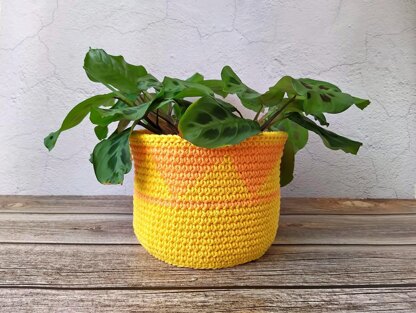 Plant Pot Covers Fall