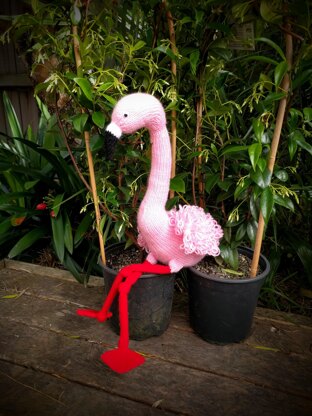 Frankie Flamingo