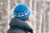 Winter Sonata (hat and mitten set)