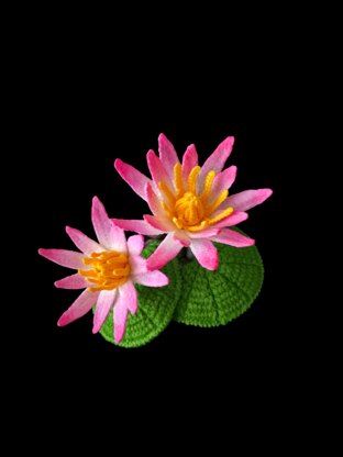 Crochet Water lily flowers pattern