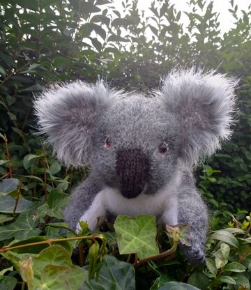 Koala