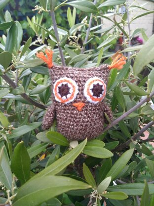 Sprout the Owl