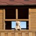 No-sew teddy bear