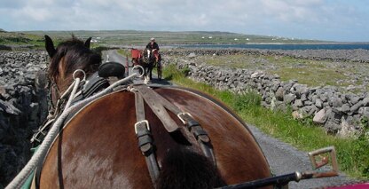 Inishmore Cap