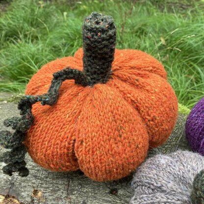 Pumpkin Patch Family [knit]