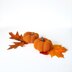 My Crochet Kitchen: Munchkin Pumpkin