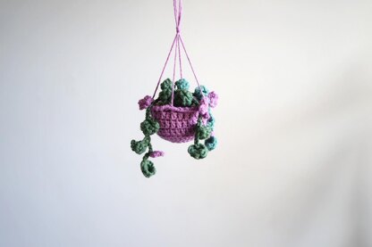 Hanging Plant with Flowers