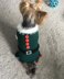 Christmas Elf Dog Costume