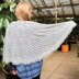 Fenestra Shawl