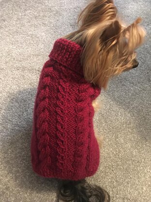 Fall Cabled Dog Sweater
