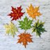 Maple Leaf