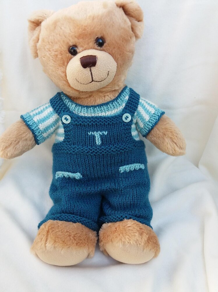 Teddy bear best sale with overalls