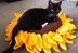 Sunflower Pet Bed