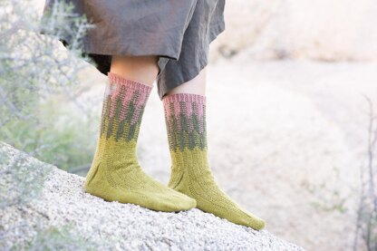 Cereus Socks