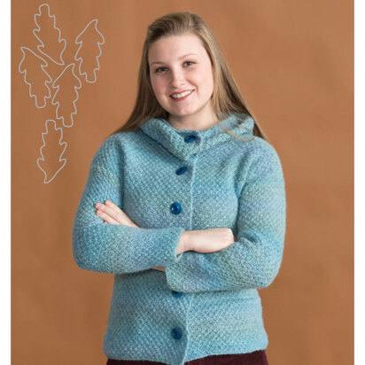 Glyndon Jacket in Classic Elite Yarns Avalanche - Downloadable PDF