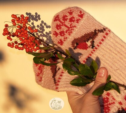 Red Berries and Robin