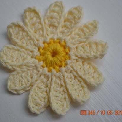 Crochet Daisies