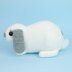 Mini Lop rabbit
