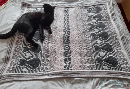 Meow Blanket