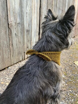 Boo Bandana