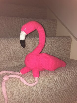 Felipe Flamingo