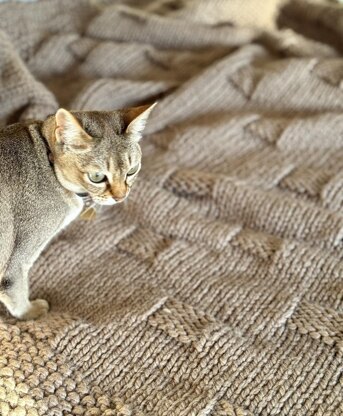 Easy Circle Illusion Knitted Blanket