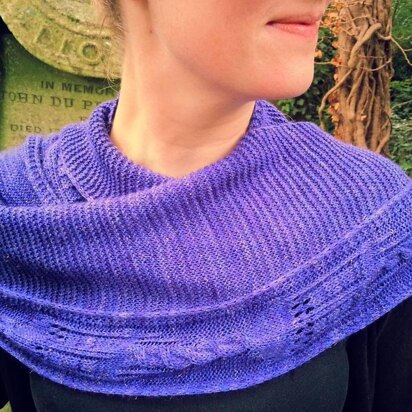 T.A.R.D.I.Shawl