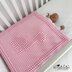 One Little Dinosaur Blanket US