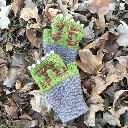 Funky Polish Chicken Mitts