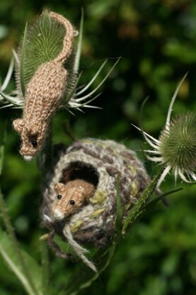 Harvest Mouse