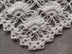 Crochet Shawl Pattern/Chart #58