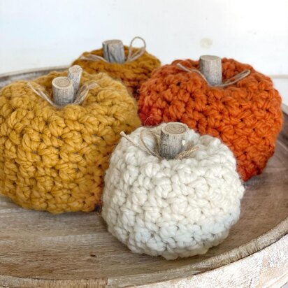 Sugar Pumpkins 079