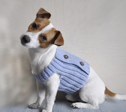 Blue Dream Dog Sweater