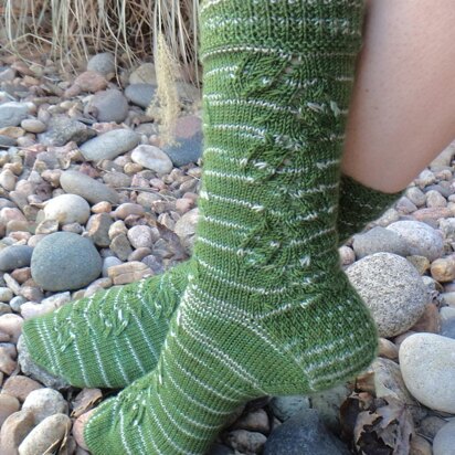 Slytherin Potions Socks