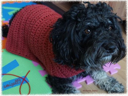 Crochet Pattern for the easy dog coat!