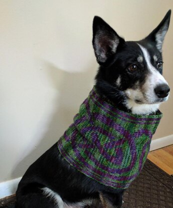 Celtic Knot Border Cowl