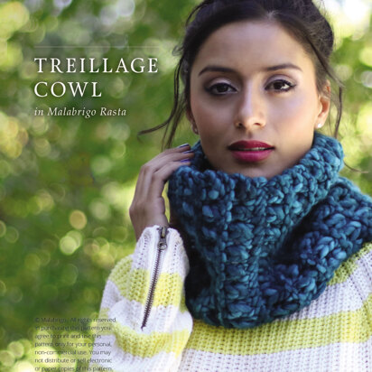 Treillage Cowl in Malabrigo Rasta - Downloadable PDF